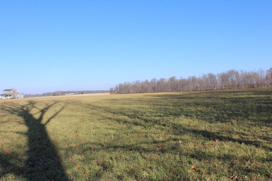 REAL ESTATE AUCTION - 168+/- ACRES OFFERED IN 8 TRACTS IN MARSHALL COUNTY, INDIANA